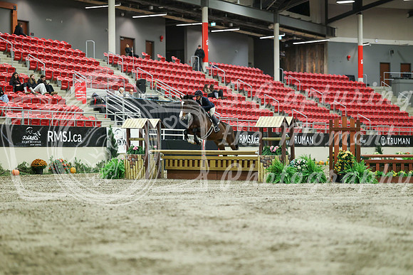 02255 - Mara - 2026 Royal West - Saturday October 17th