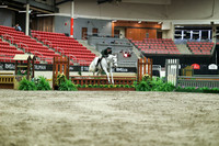 02854 - Mara - 2026 Royal West - Saturday October 17th
