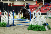 00082 - Mara - 2026 Royal West - Saturday October 2th