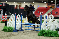 00362 - Mara - 2026 Royal West - Saturday October 2th