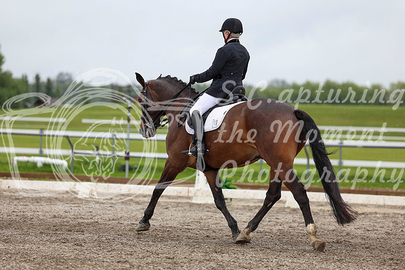 2025 - Dressage Festival - Sunday July 6th - 08784