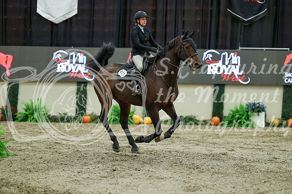 11501 - Mara - 2026 Royal West - Friday October 16th