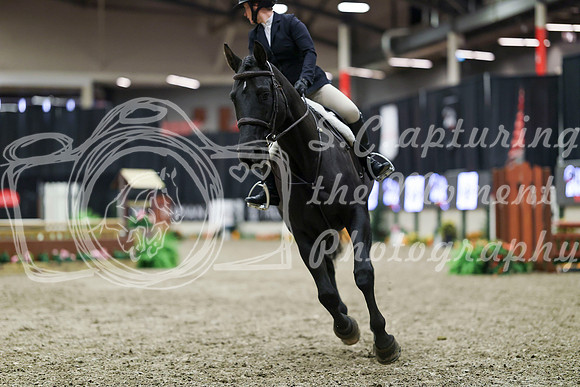 01418 - Mara - 2026 Royal West - Tuesday October 20th