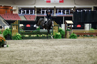 01246 - Mara - 2026 Royal West - Tuesday October 20th