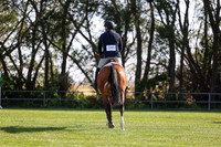 12956 - Shea - 2026 Harvest - Saturday September 19th