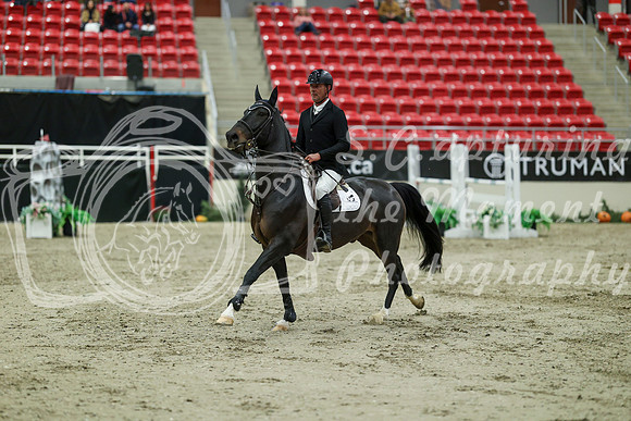 04544 - Mara - 2026 Royal West - Saturday October 24th