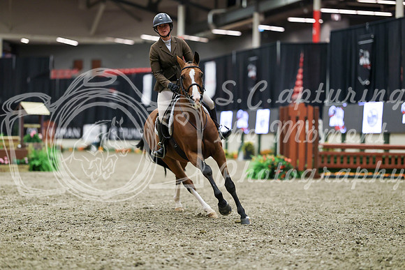 01697 - Mara - 2026 Royal West - Tuesday October 20th