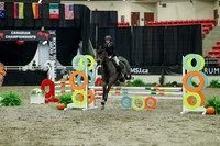 01101 - Mara - 2026 Royal West - Thursday October 15th