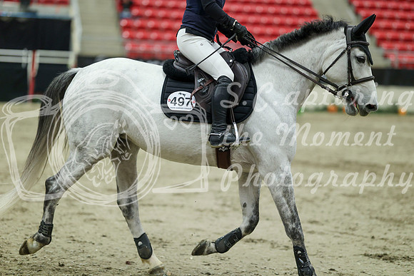 04703 - Mara - 2026 Royal West - Saturday October 24th