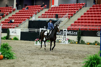 03145 - Mara - 2026 Royal West - Friday October 16th