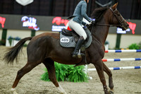 01501 - Mara - 2026 Royal West - Sunday October 18th