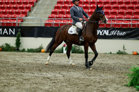 01163 - Mara - 2026 Royal West - Friday October 23rd