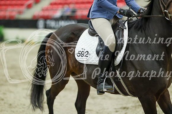 01365 - Mara - 2026 Royal West - Wednesday October 21st