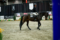 04651 - Mara - 2026 Royal West - Wednesday October 21st