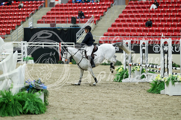 00147 - Mara - 2026 Royal West - Saturday October 2th