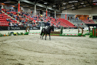 07023 - Mara - 2026 Royal West - Saturday October 17th