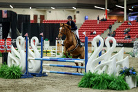 01416 - Mara - 2026 Royal West - Saturday October 2th