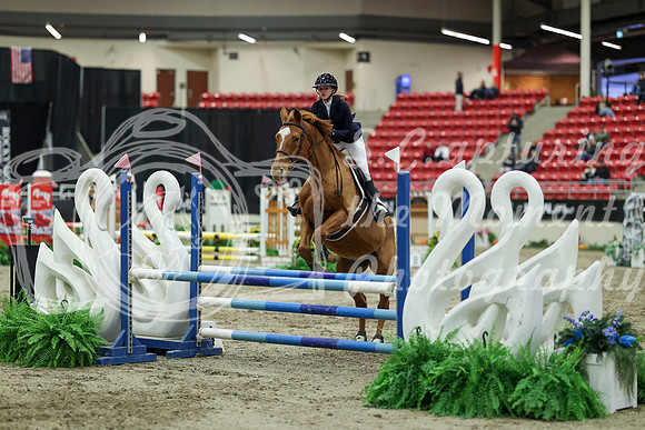 01416 - Mara - 2026 Royal West - Saturday October 2th