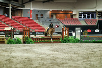 02931 - Mara - 2026 Royal West - Saturday October 17th