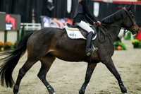 00414 - Mara - 2026 Royal West - Saturday October 2th