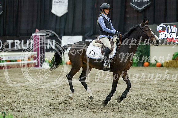 01252 - Mara - 2026 Royal West - Wednesday October 21st
