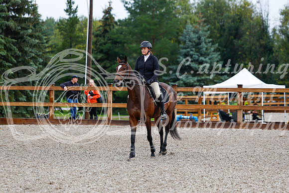 2025 - Haylee - Picco Horse Show - Sunday July 27th 00069