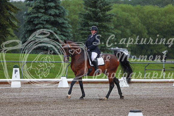 2025 - Dressage Festival - Sunday July 6th - 00348