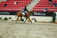 05500 - Shea - 2026 Royal West - Thursday October 22nd