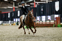 01507 - Mara - 2026 Royal West - Tuesday October 20th