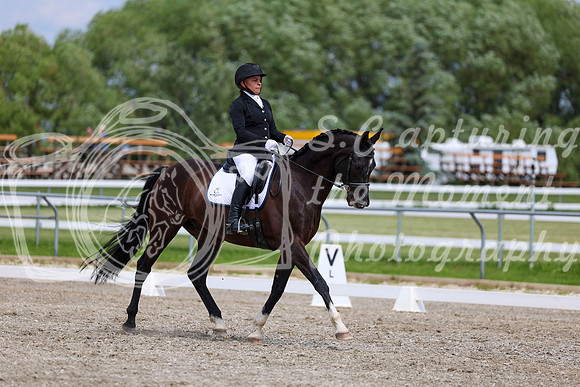2025 - Dressage Festival - Saturday July 5th - 11407