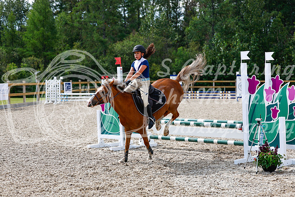 2025 - Haylee - Picco Horse Show - Thursday July 24th 01326