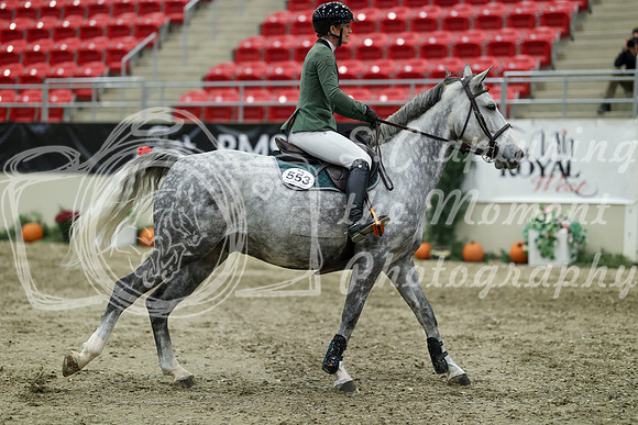 04169 - Mara - 2026 Royal West - Thursday October 22nd