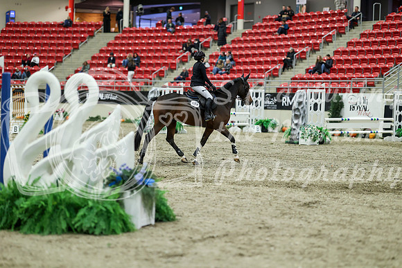 01019 - Mara - 2026 Royal West - Saturday October 2th