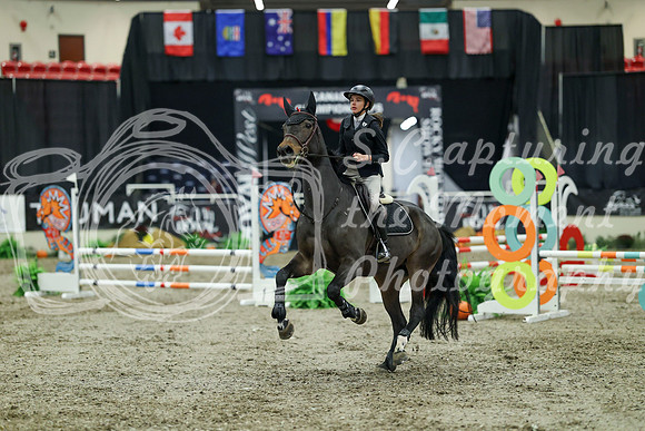 01103 - Mara - 2026 Royal West - Thursday October 15th