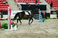 06703 - Mara - 2026 Royal West - Sunday October 18th