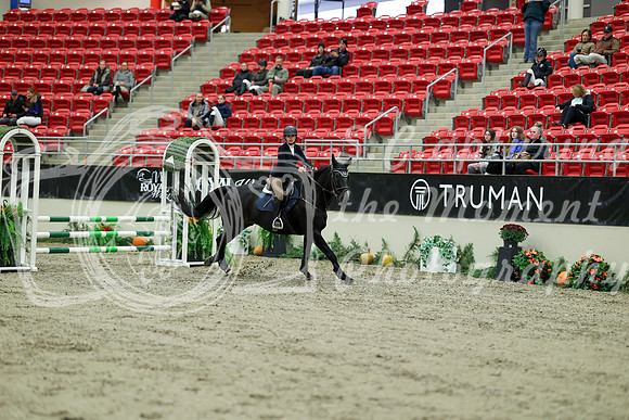 00315 - Mara - 2026 Royal West - Wednesday October 21st