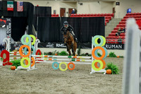 01950 - Mara - 2026 Royal West - Thursday October 15th