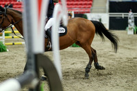 06221 - Mara - 2026 Royal West - Saturday October 24th