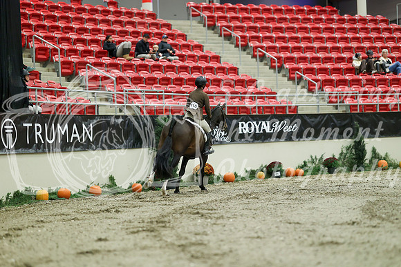 01246 - Mara - 2026 Royal West - Saturday October 17th