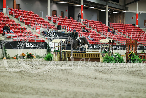 01198 - Mara - 2026 Royal West - Saturday October 17th