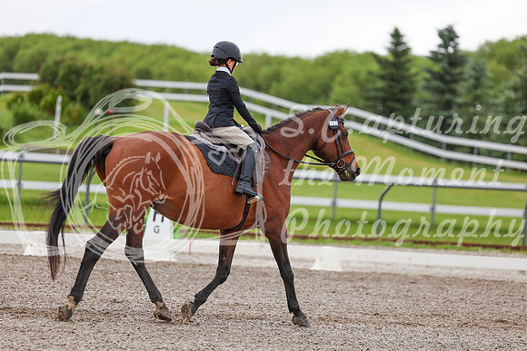 2025 - Dressage Festival - Sunday July 6th - 01835