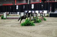 03650 - Mara - 2026 Royal West - Tuesday October 20th