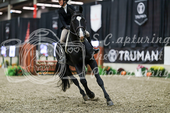 00960 - Mara - 2026 Royal West - Tuesday October 20th