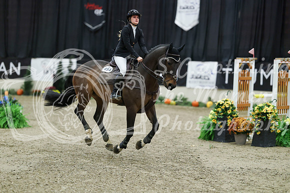 02150 - Mara - 2026 Royal West - Thursday October 22nd