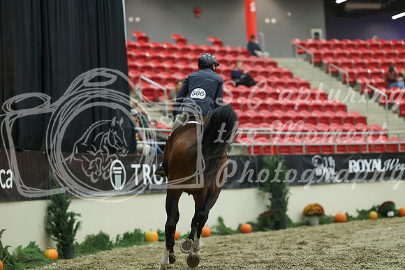 05301 - Mara - 2026 Royal West - Saturday October 17th