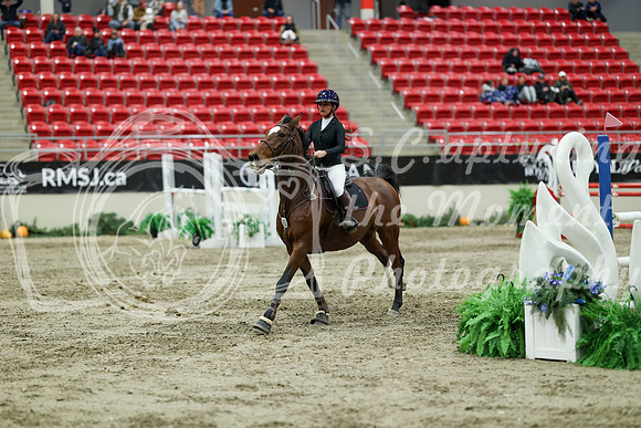 06014 - Mara - 2026 Royal West - Saturday October 24th