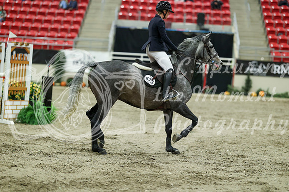 05080 - Mara - 2026 Royal West - Saturday October 24th