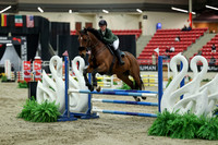 01087 - Mara - 2026 Royal West - Saturday October 2th