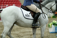 01590 - Mara - 2026 Royal West - Thursday October 15th