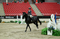 04531 - Mara - 2026 Royal West - Saturday October 24th